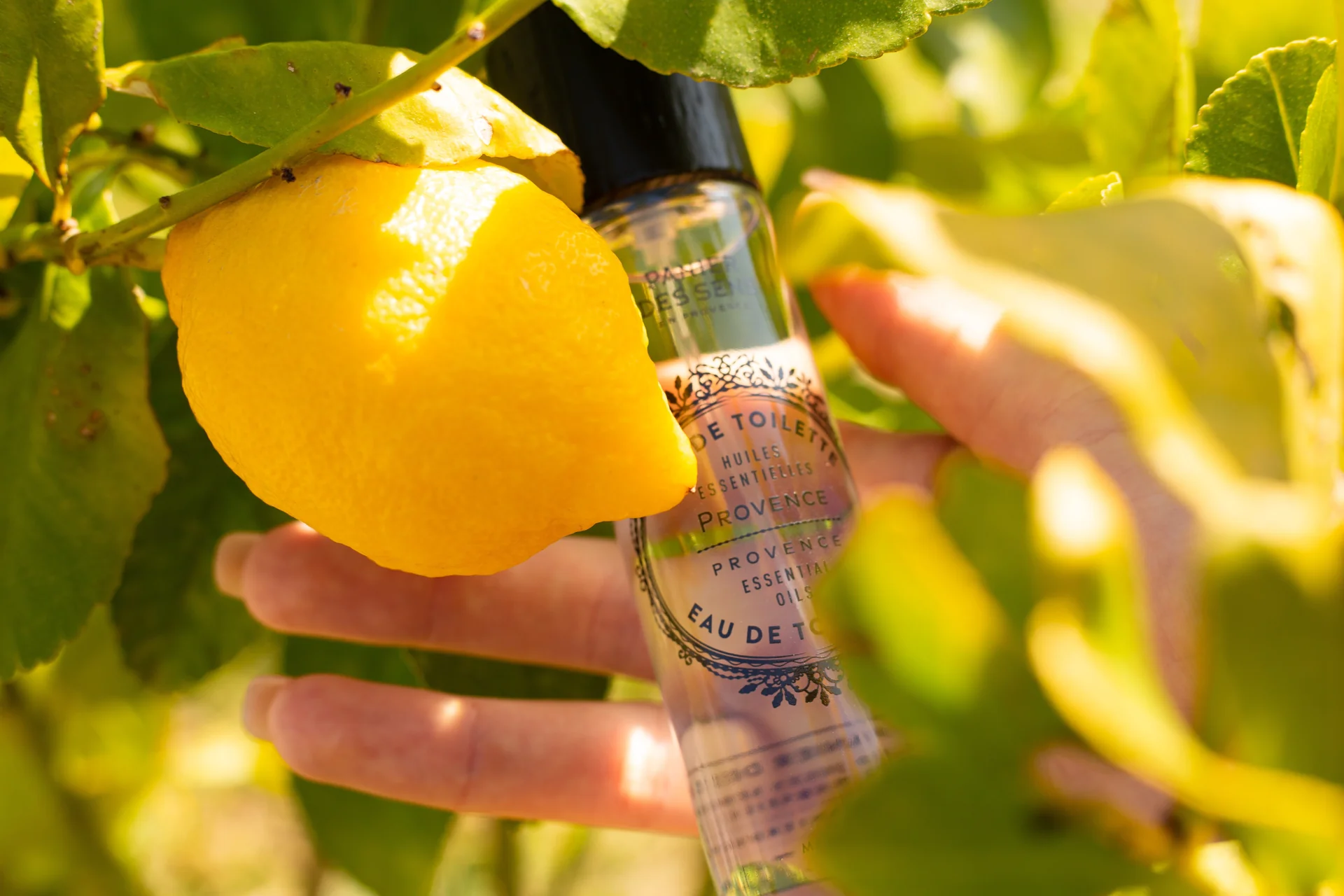Essential oil perfume