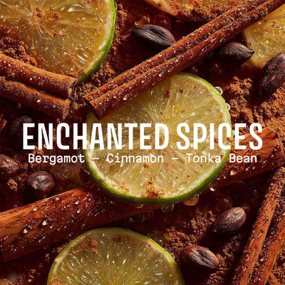 Enchanted Spices Soap – Christmas Limited Edition