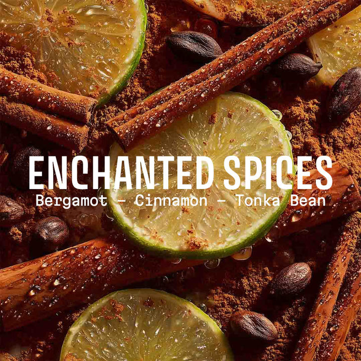 Enchanted Spices Soap – Christmas Limited Edition