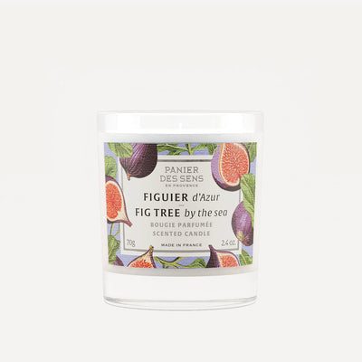 Scented candle vegetable wax - Fig tree by the sea