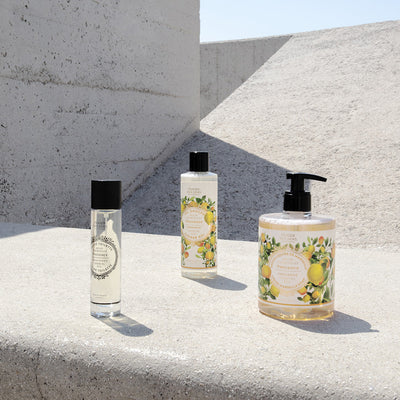 Liquid Marseille Soap - Provence Energizing